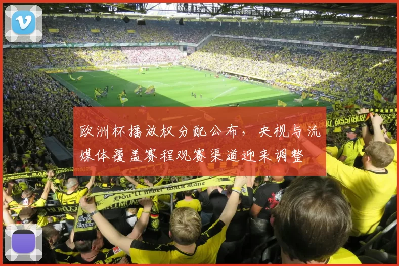 欧洲杯播放权分配公布，央视与流媒体覆盖赛程观赛渠道迎来调整