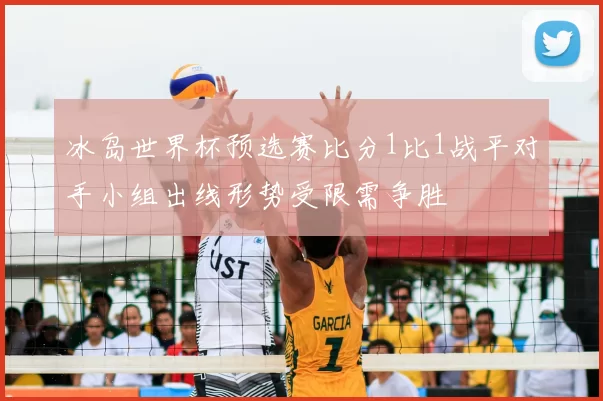 冰岛世界杯预选赛比分1比1战平对手小组出线形势受限需争胜