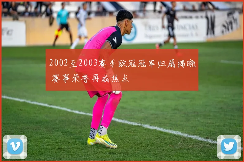2002至2003赛季欧冠冠军归属揭晓 赛事荣誉再成焦点