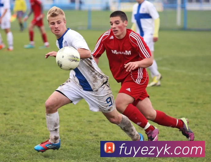 多媒体互动体验